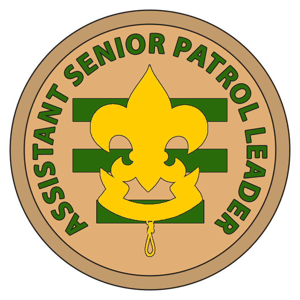BSA Position Emblems Pack